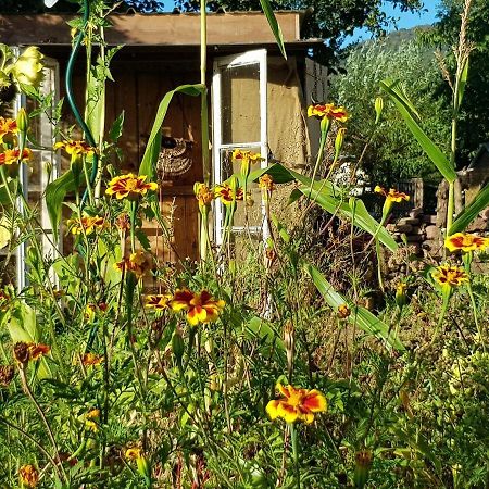 Rougegoutte Le Jardin Des Gouttes Bed & Breakfast エクステリア 写真