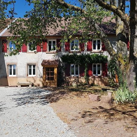 Rougegoutte Le Jardin Des Gouttes Bed & Breakfast エクステリア 写真