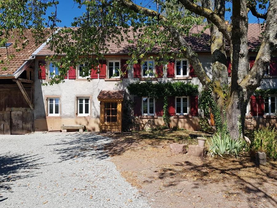 Rougegoutte Le Jardin Des Gouttes Bed & Breakfast エクステリア 写真